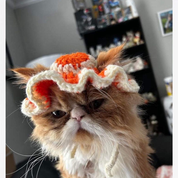 HANDMADE cat bonet bucket hat for cats cat accessories - Picture 8 of 12